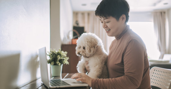 best house rental sites